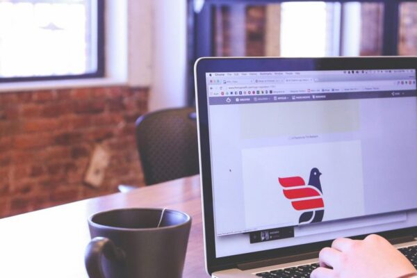 Domain Cost Per Year What Determines Your Renewal Price and How to Lower It