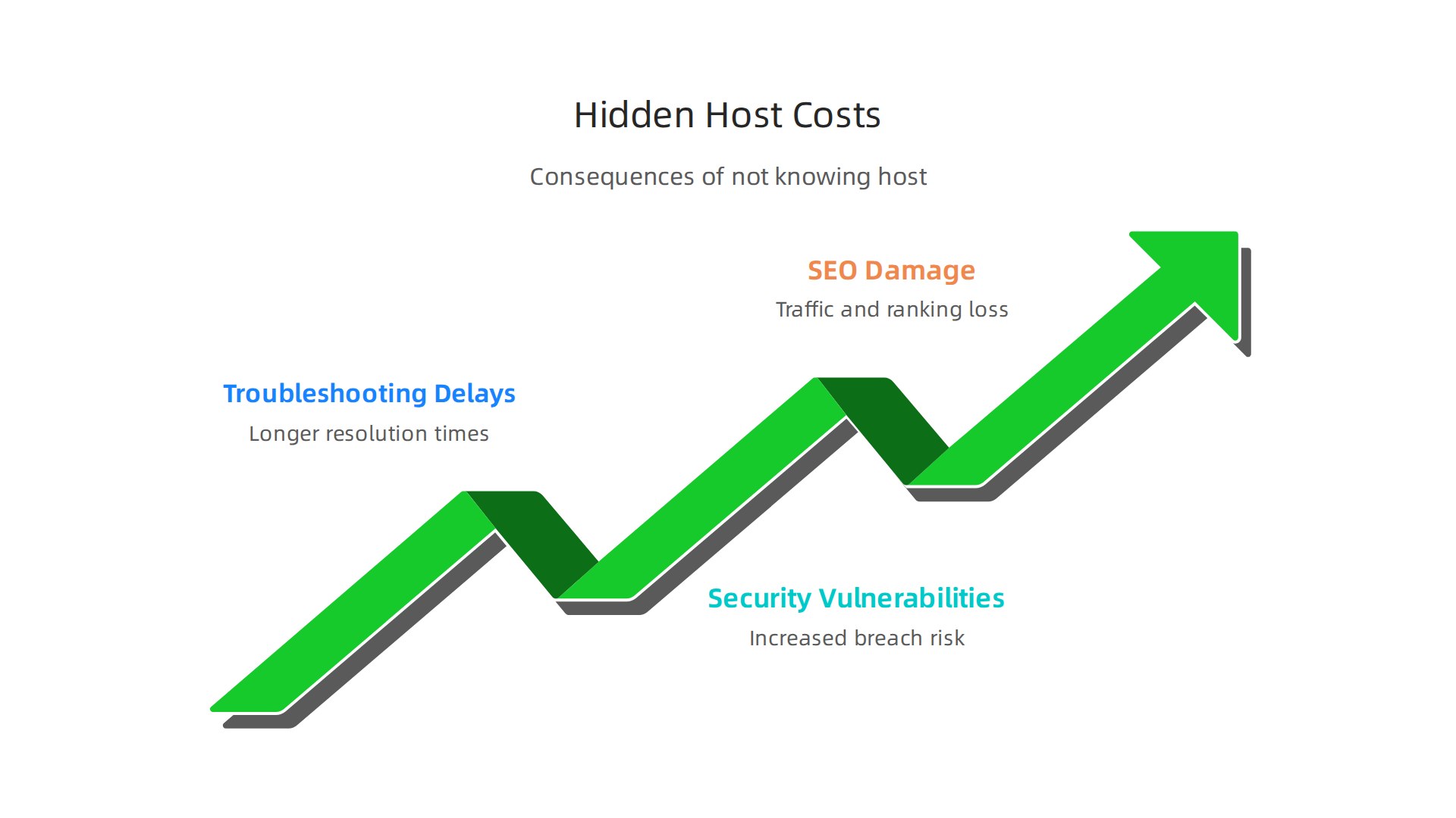 An infographic detailing the three major hidden costs of not knowing your website host: troubleshooting delays, security vulnerabilities, and SEO damage.