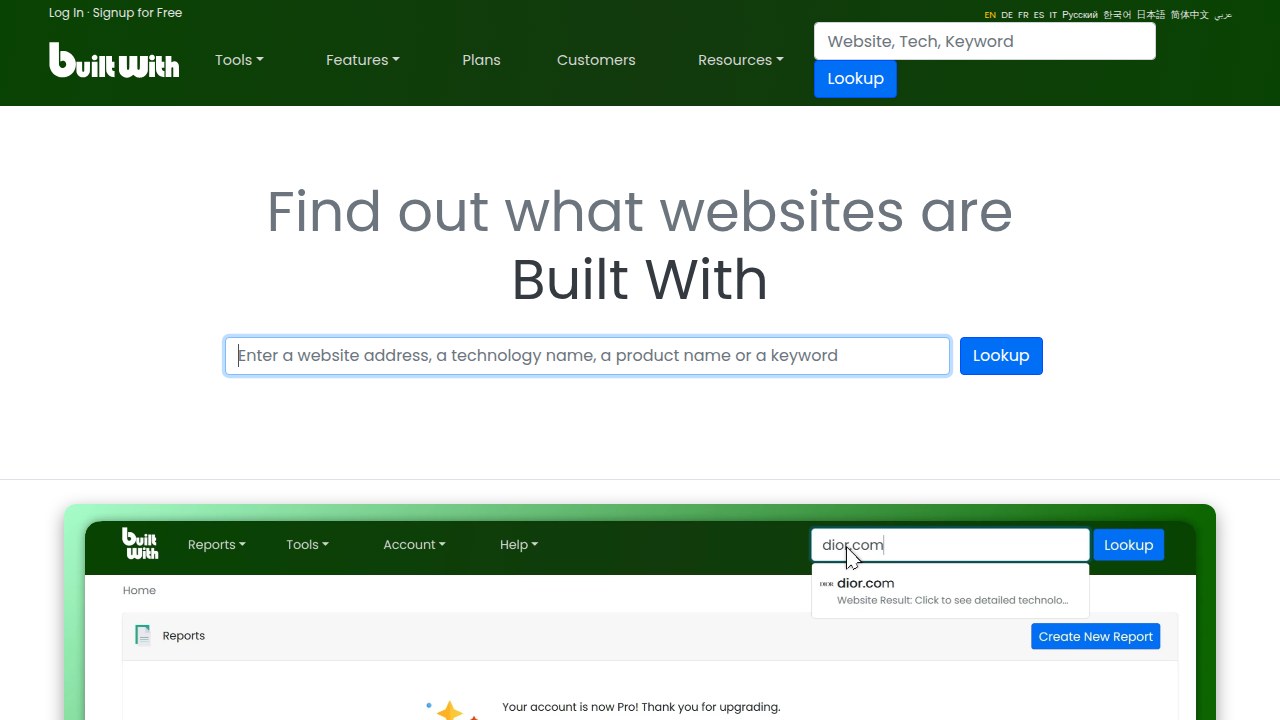 A screenshot of BuiltWith.com, a tool that reveals a website's entire technology stack, including CMS, server software, and analytics tools.