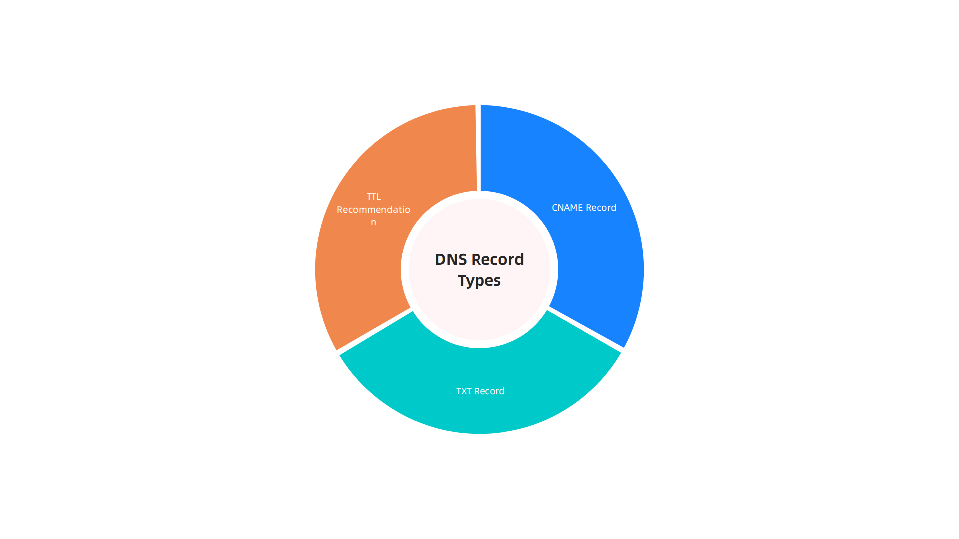 An explanation of essential DNS record types like CNAME, TXT, and TTL for custom domain setup.