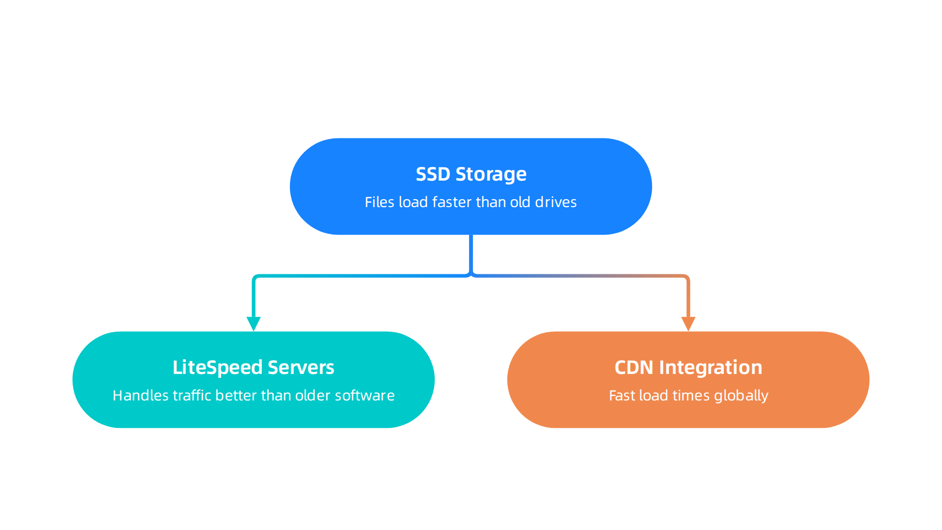 Terra Hosting's core technology stack ensures fast and consistent performance.