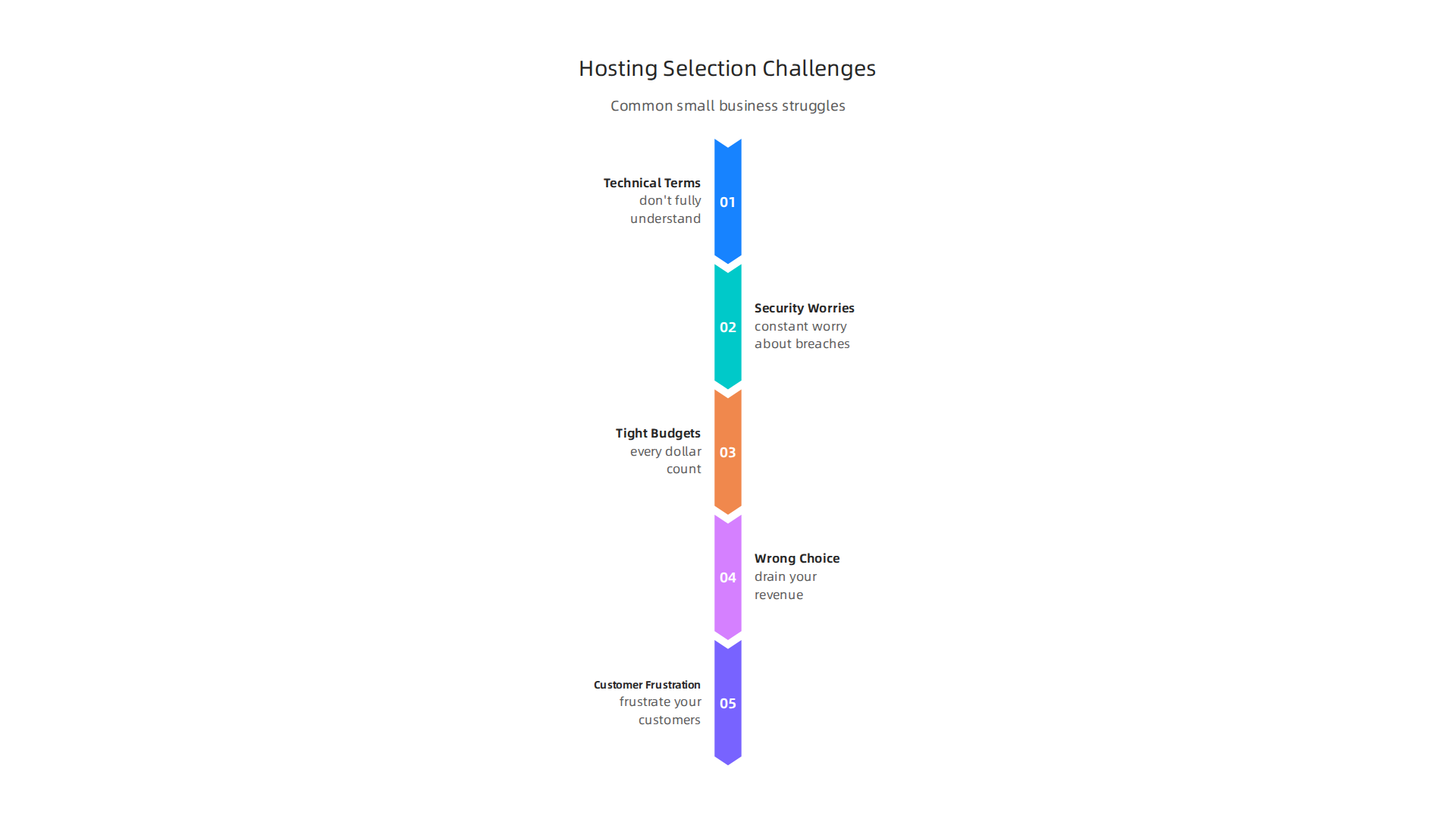 Key challenges entrepreneurs often face when selecting the right web hosting provider.