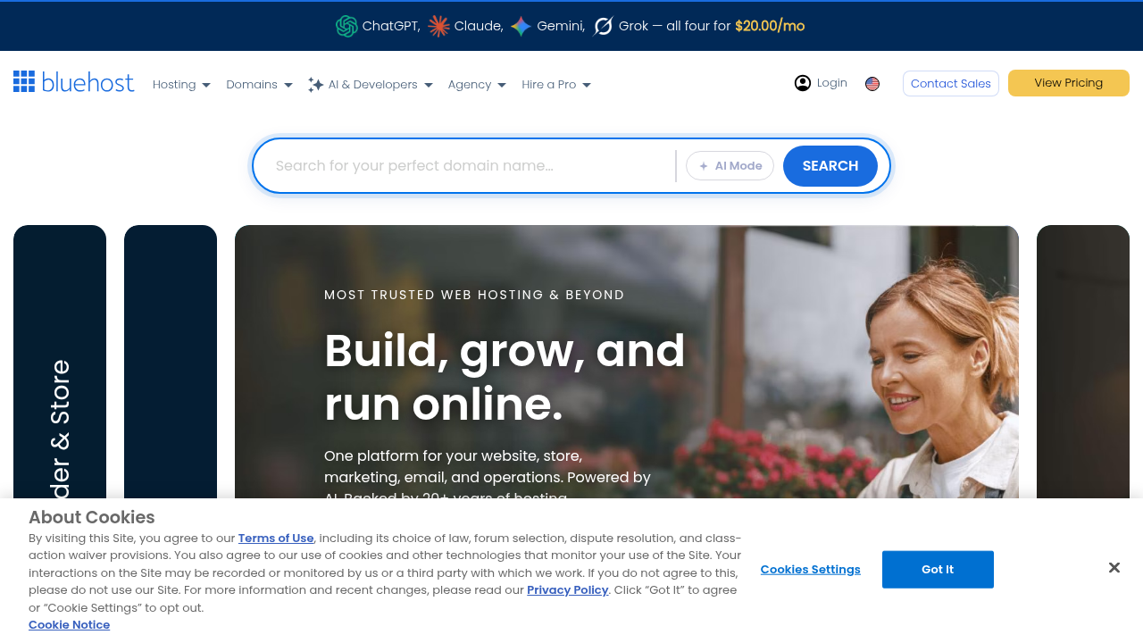 Bluehost, a popular web hosting provider known for offering free domains with hosting packages.