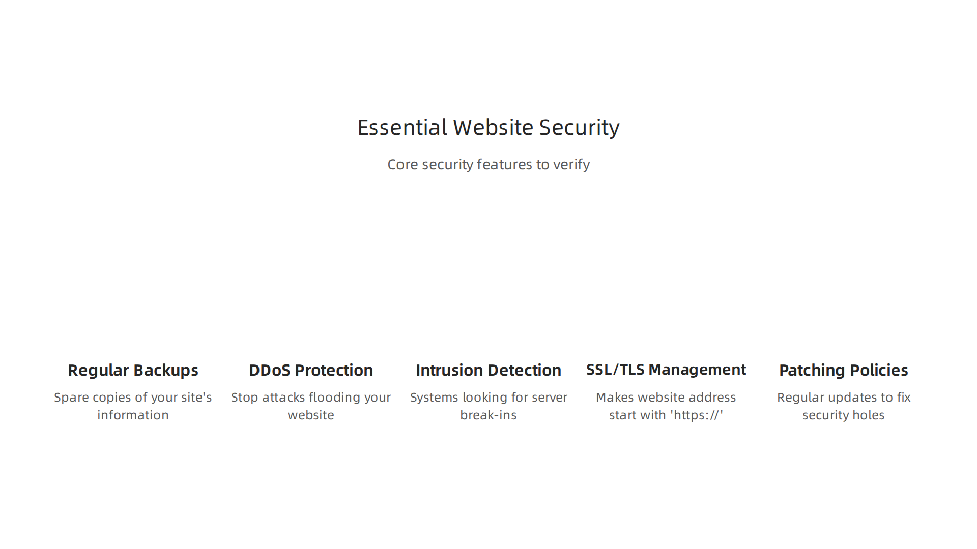 Core security features that a reliable web host should provide to protect your business website and data.